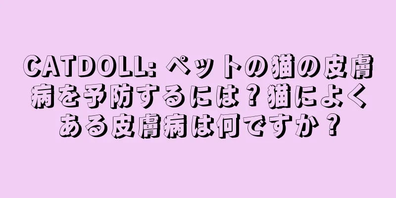 CATDOLL: ペットの猫の皮膚病を予防するには？猫によくある皮膚病は何ですか？