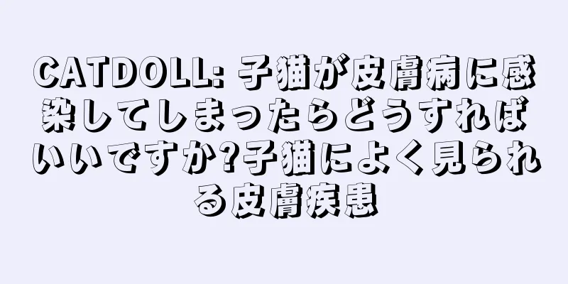 CATDOLL: 子猫が皮膚病に感染してしまったらどうすればいいですか?子猫によく見られる皮膚疾患