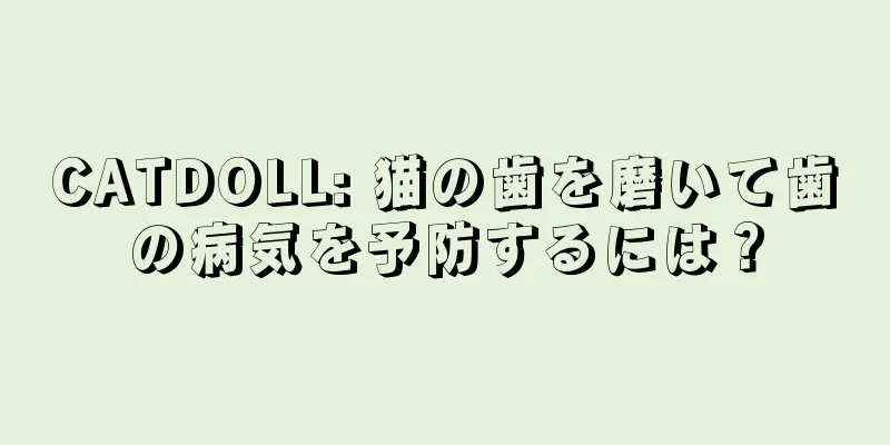 CATDOLL: 猫の歯を磨いて歯の病気を予防するには？