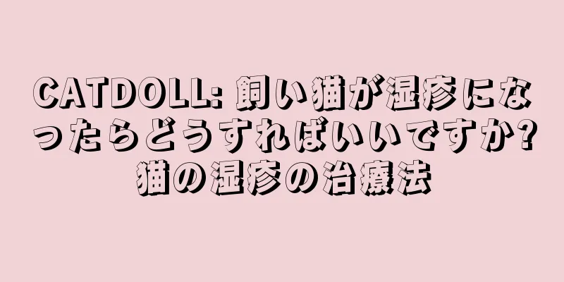 CATDOLL: 飼い猫が湿疹になったらどうすればいいですか?猫の湿疹の治療法