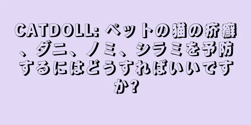 CATDOLL: ペットの猫の疥癬、ダニ、ノミ、シラミを予防するにはどうすればいいですか?