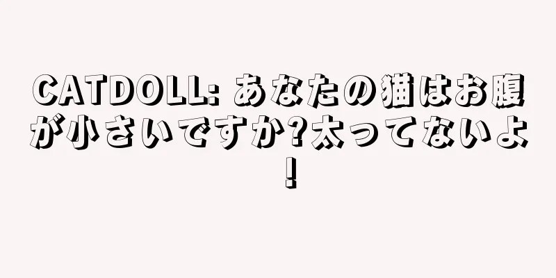 CATDOLL: あなたの猫はお腹が小さいですか?太ってないよ！