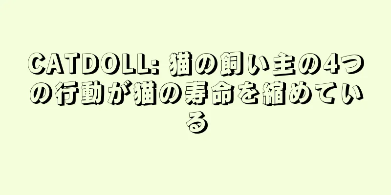 CATDOLL: 猫の飼い主の4つの行動が猫の寿命を縮めている