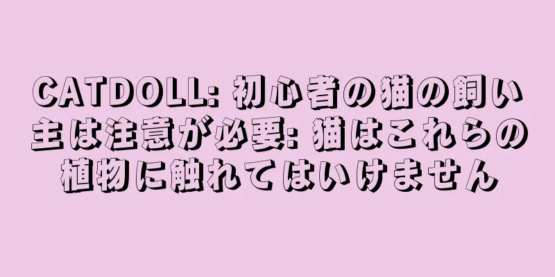 CATDOLL: 初心者の猫の飼い主は注意が必要: 猫はこれらの植物に触れてはいけません