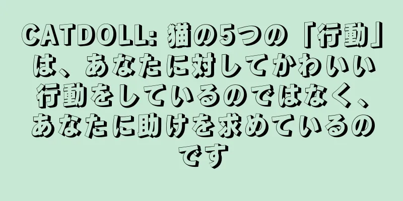 CATDOLL: 猫の5つの「行動」は、あなたに対してかわいい行動をしているのではなく、あなたに助けを求めているのです