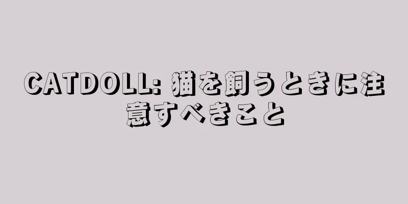 CATDOLL: 猫を飼うときに注意すべきこと