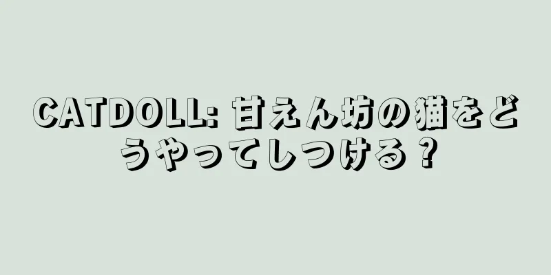CATDOLL: 甘えん坊の猫をどうやってしつける？