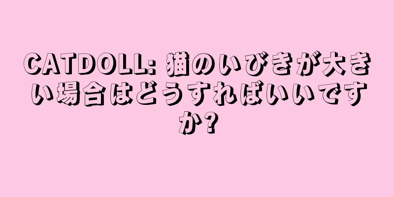 CATDOLL: 猫のいびきが大きい場合はどうすればいいですか?