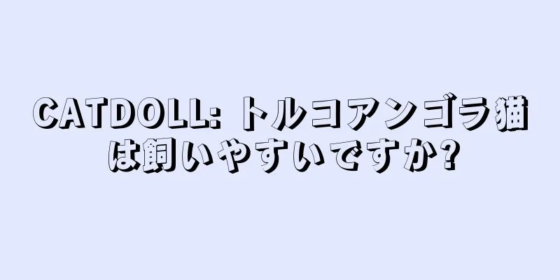 CATDOLL: トルコアンゴラ猫は飼いやすいですか?