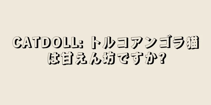 CATDOLL: トルコアンゴラ猫は甘えん坊ですか?