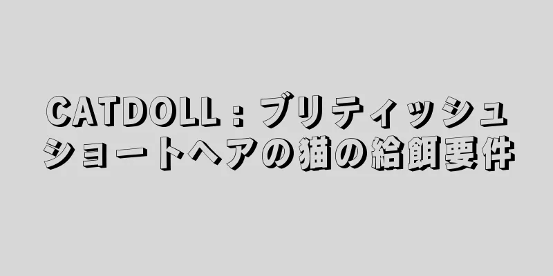 CATDOLL : ブリティッシュショートヘアの猫の給餌要件