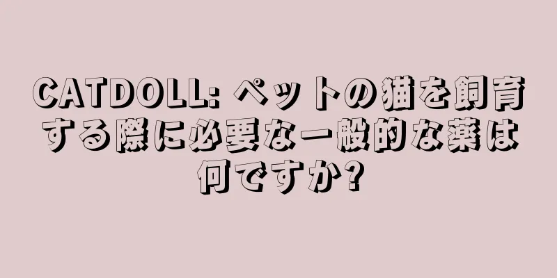 CATDOLL: ペットの猫を飼育する際に必要な一般的な薬は何ですか?