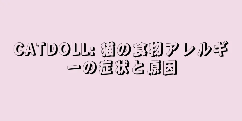 CATDOLL: 猫の食物アレルギーの症状と原因