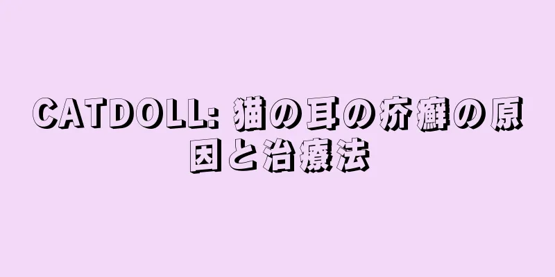 CATDOLL: 猫の耳の疥癬の原因と治療法