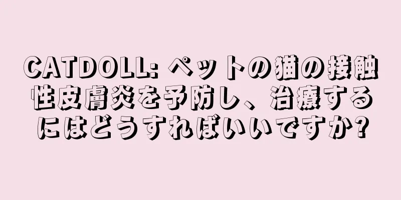 CATDOLL: ペットの猫の接触性皮膚炎を予防し、治療するにはどうすればいいですか?