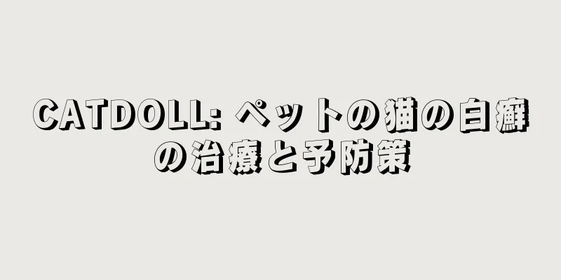 CATDOLL: ペットの猫の白癬の治療と予防策