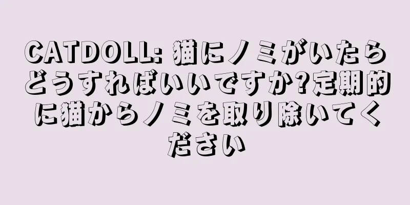 CATDOLL: 猫にノミがいたらどうすればいいですか?定期的に猫からノミを取り除いてください