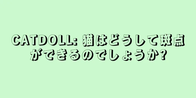 CATDOLL: 猫はどうして斑点ができるのでしょうか?
