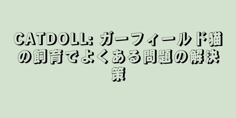 CATDOLL: ガーフィールド猫の飼育でよくある問題の解決策