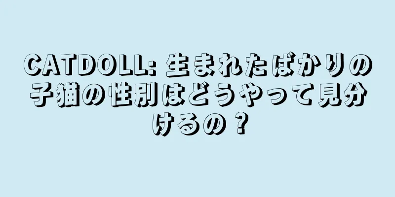CATDOLL: 生まれたばかりの子猫の性別はどうやって見分けるの？