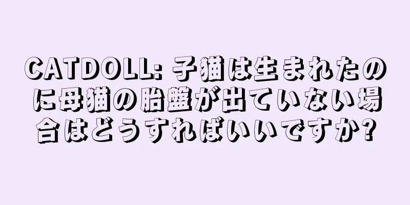 CATDOLL: 子猫は生まれたのに母猫の胎盤が出ていない場合はどうすればいいですか?