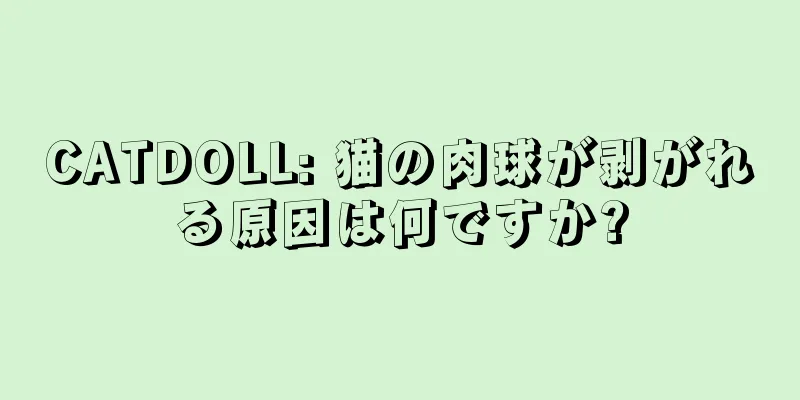 CATDOLL: 猫の肉球が剥がれる原因は何ですか?