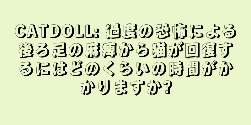 CATDOLL: 過度の恐怖による後ろ足の麻痺から猫が回復するにはどのくらいの時間がかかりますか?