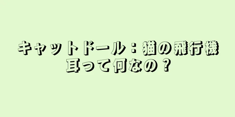 キャットドール：猫の飛行機耳って何なの？