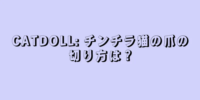 CATDOLL: チンチラ猫の爪の切り方は？