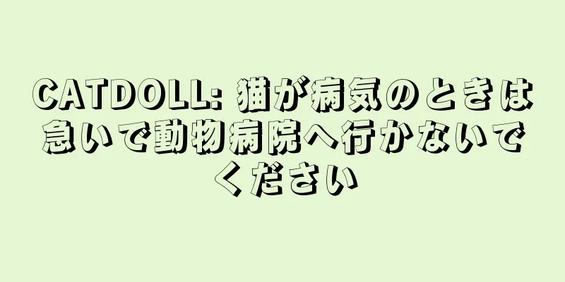 CATDOLL: 猫が病気のときは急いで動物病院へ行かないでください
