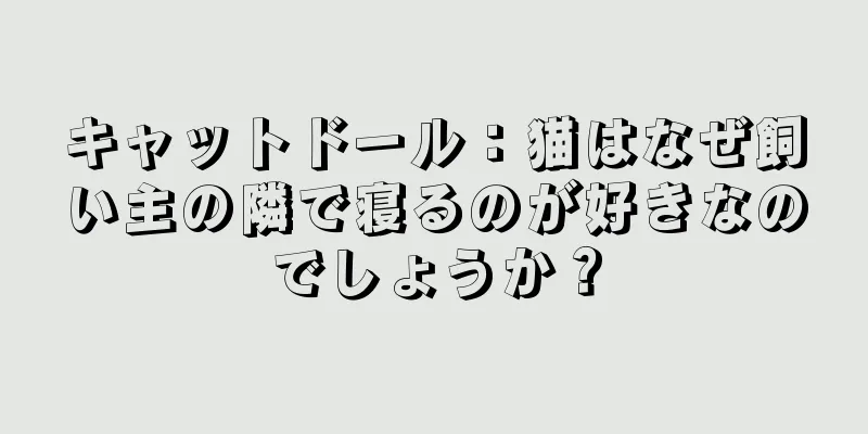 キャットドール：猫はなぜ飼い主の隣で寝るのが好きなのでしょうか？