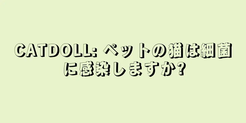 CATDOLL: ペットの猫は細菌に感染しますか?