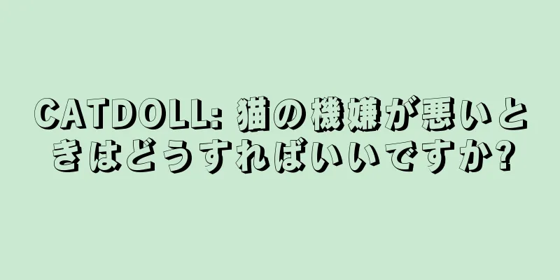 CATDOLL: 猫の機嫌が悪いときはどうすればいいですか?