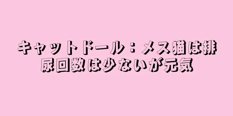 キャットドール：メス猫は排尿回数は少ないが元気