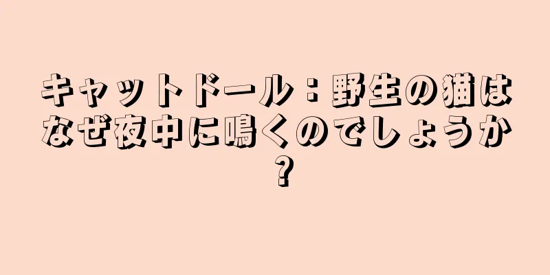 キャットドール：野生の猫はなぜ夜中に鳴くのでしょうか？