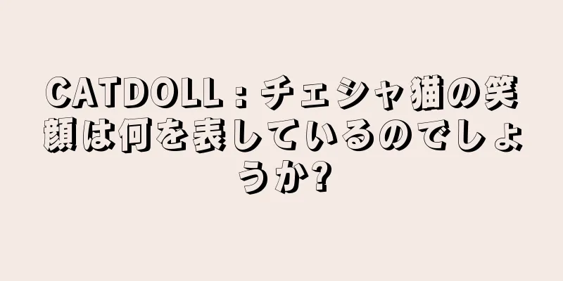 CATDOLL : チェシャ猫の笑顔は何を表しているのでしょうか?