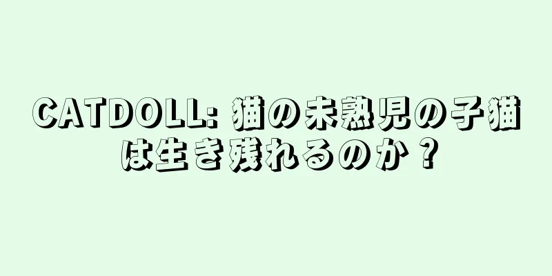 CATDOLL: 猫の未熟児の子猫は生き残れるのか？