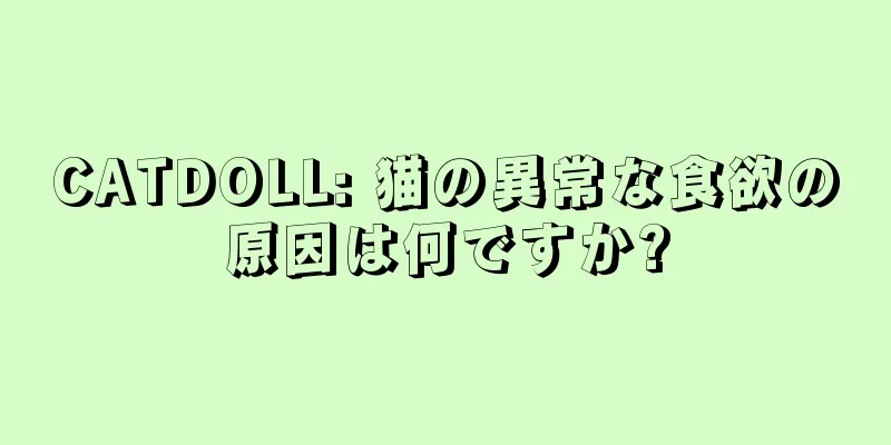 CATDOLL: 猫の異常な食欲の原因は何ですか?