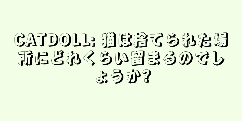 CATDOLL: 猫は捨てられた場所にどれくらい留まるのでしょうか?