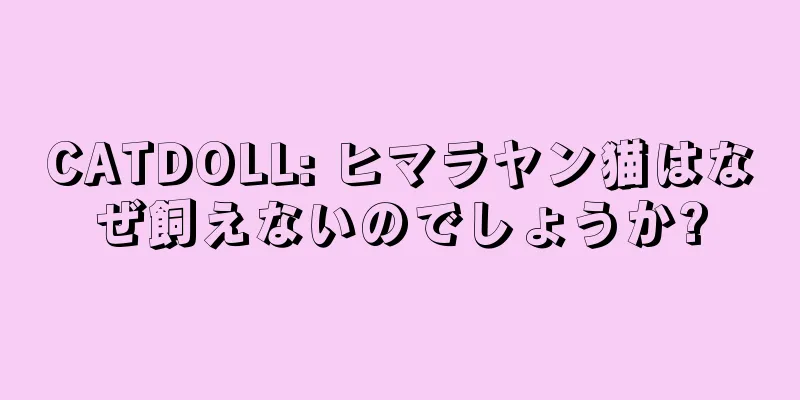 CATDOLL: ヒマラヤン猫はなぜ飼えないのでしょうか?