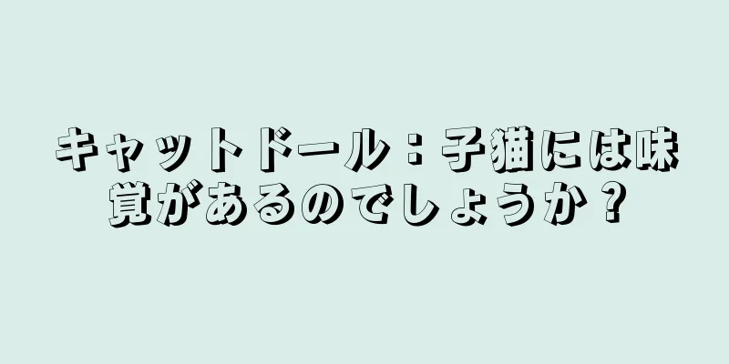 キャットドール：子猫には味覚があるのでしょうか？