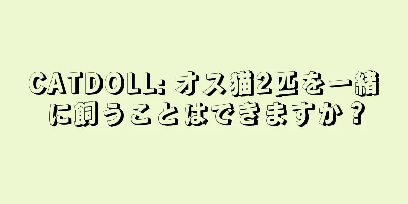 CATDOLL: オス猫2匹を一緒に飼うことはできますか？