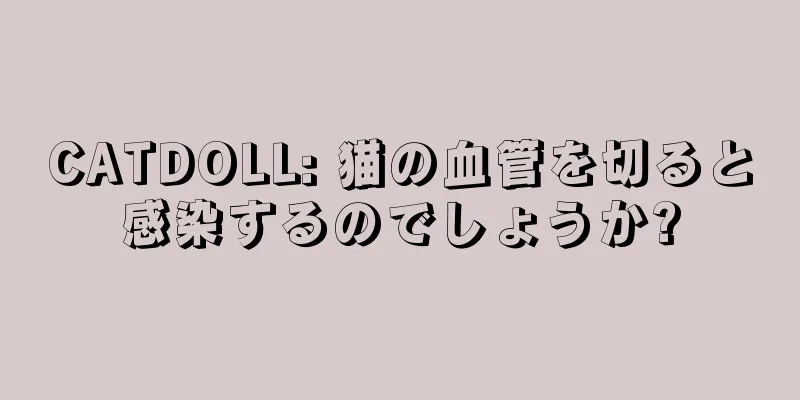 CATDOLL: 猫の血管を切ると感染するのでしょうか?