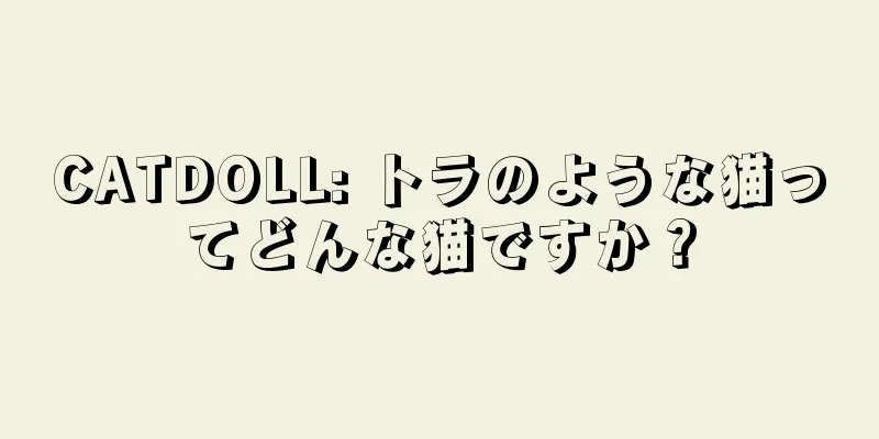 CATDOLL: トラのような猫ってどんな猫ですか？