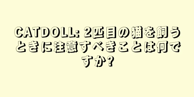 CATDOLL: 2匹目の猫を飼うときに注意すべきことは何ですか?