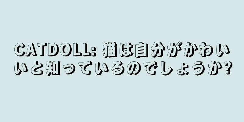 CATDOLL: 猫は自分がかわいいと知っているのでしょうか?