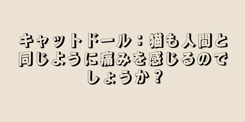 キャットドール：猫も人間と同じように痛みを感じるのでしょうか？