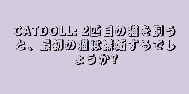 CATDOLL: 2匹目の猫を飼うと、最初の猫は嫉妬するでしょうか?
