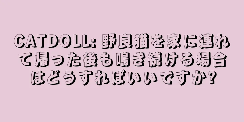 CATDOLL: 野良猫を家に連れて帰った後も鳴き続ける場合はどうすればいいですか?