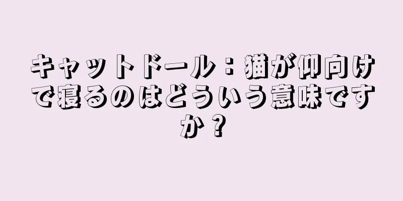 キャットドール：猫が仰向けで寝るのはどういう意味ですか？
